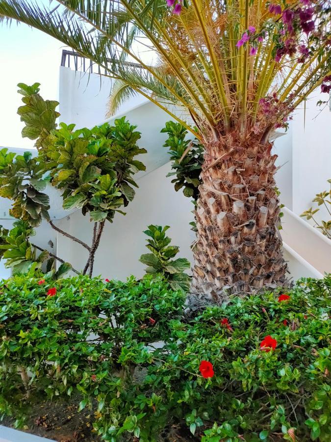 Flor De Cactus Apartamento Costa Teguise Exterior foto