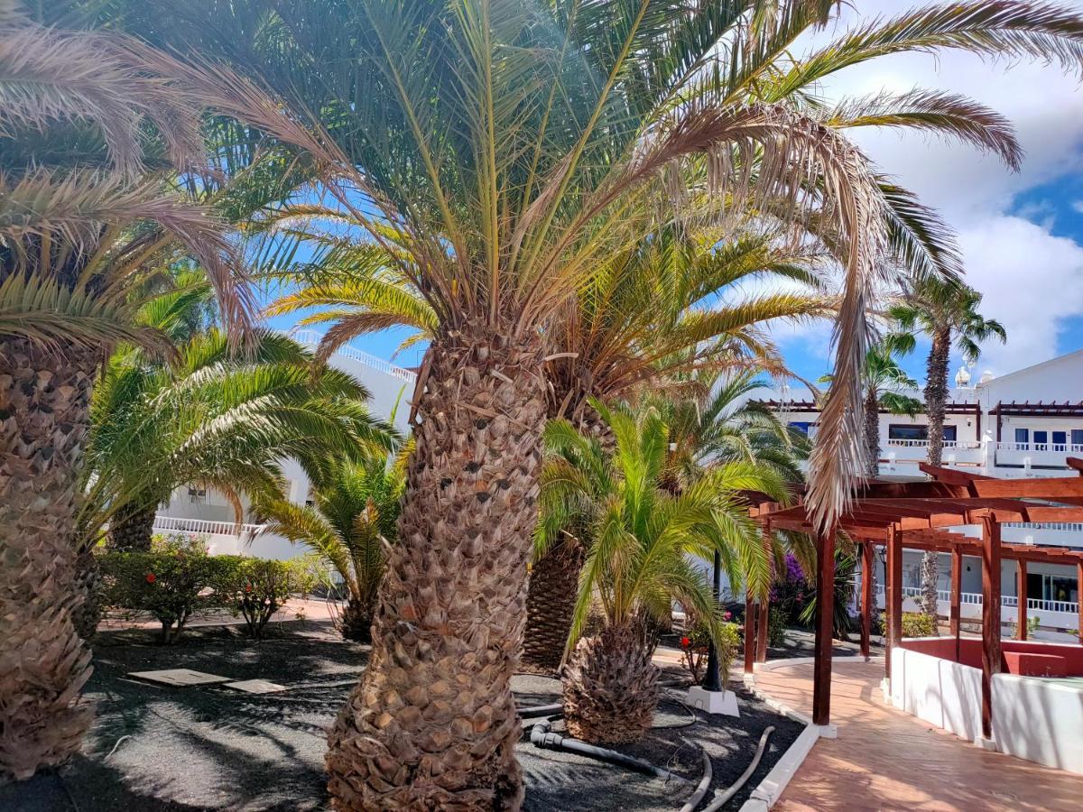 Flor De Cactus Apartamento Costa Teguise Exterior foto