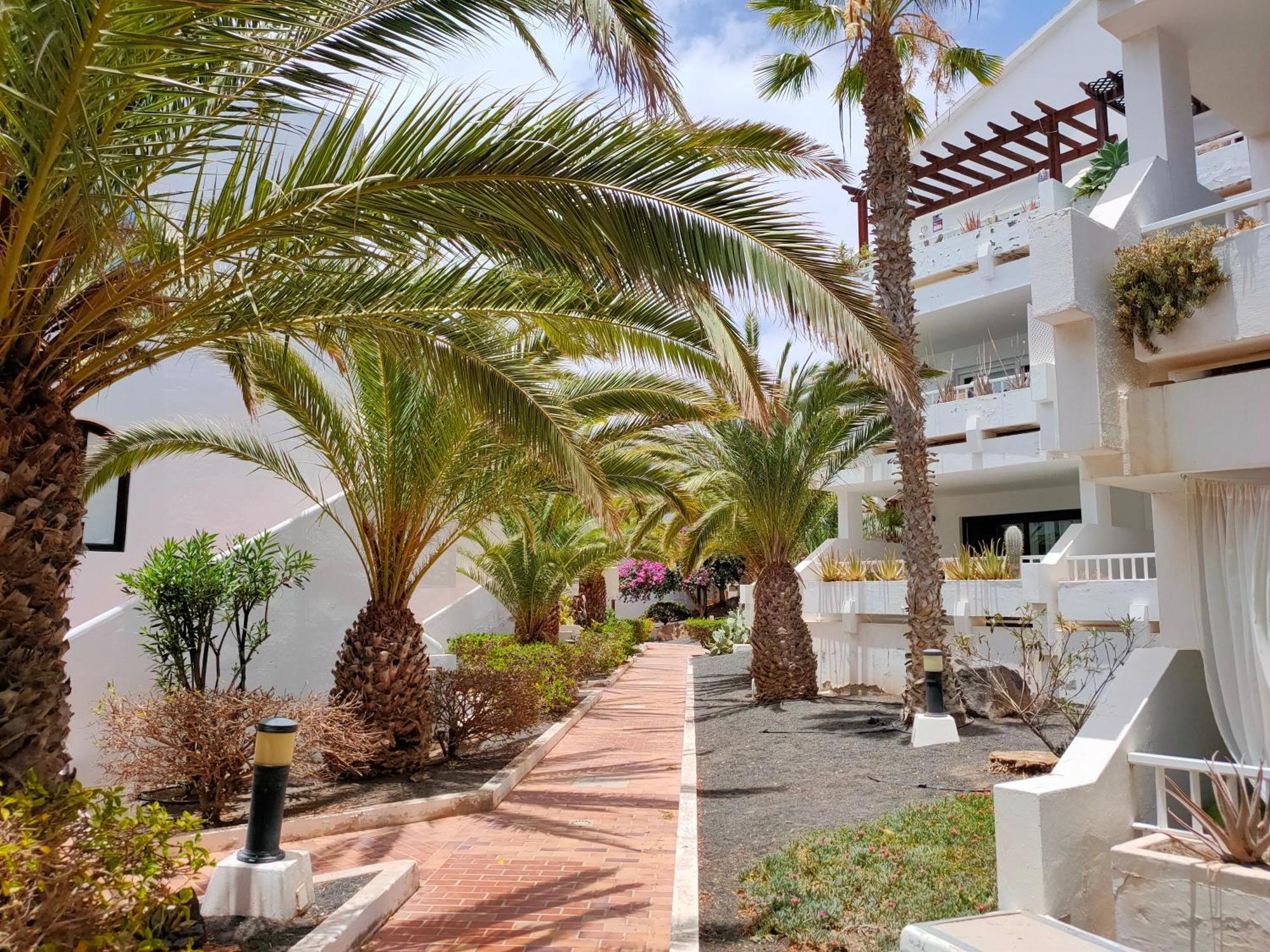 Flor De Cactus Apartamento Costa Teguise Quarto foto